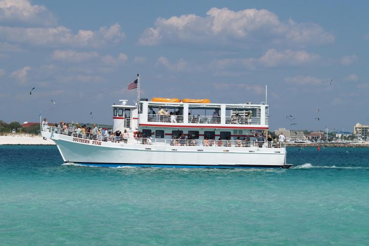 people aboard the Southern Star on an ecotour dolphin cruise